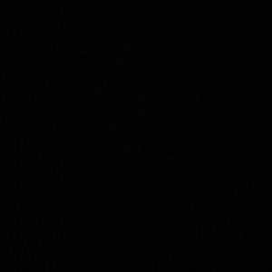 Meet your Posher, Ray